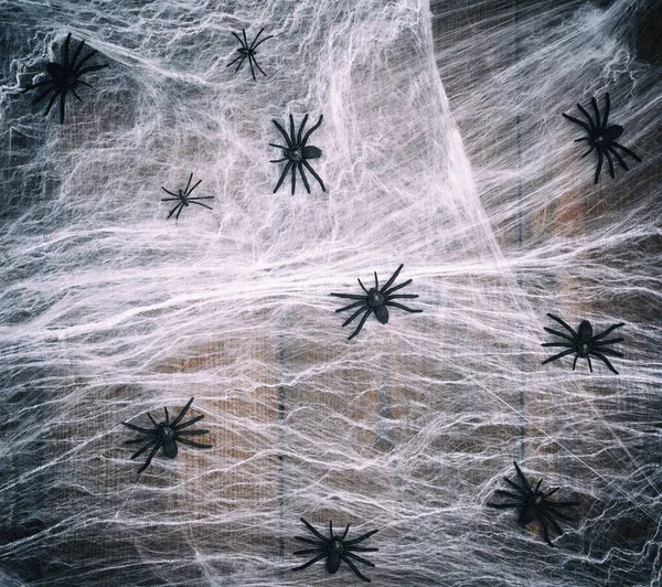 white spider web with black spiders on a wooden background from