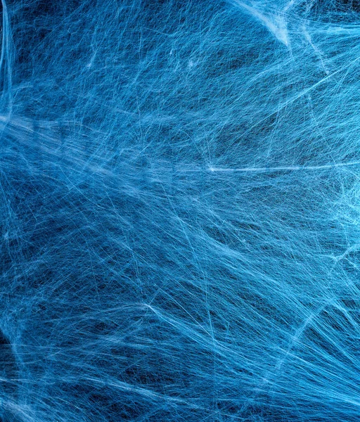 stretched white web with blue backlight, background for the holi