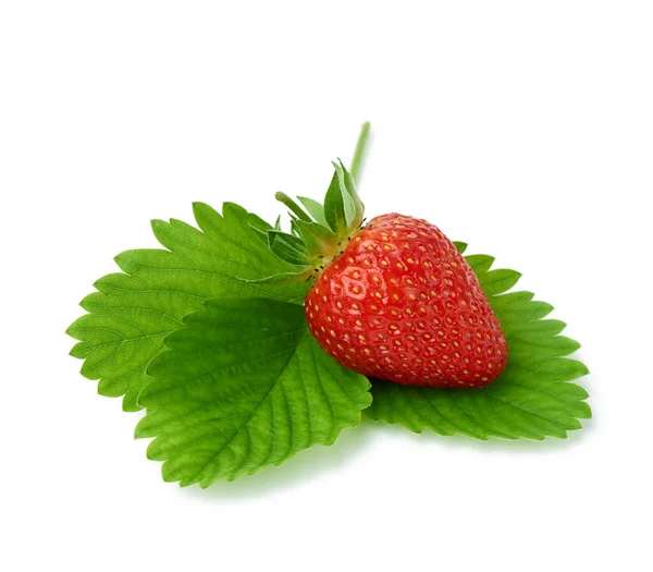 Rijpe Rode Sappige Aardbeien Ligt Een Groen Blad Geïsoleerd Een — Stockfoto