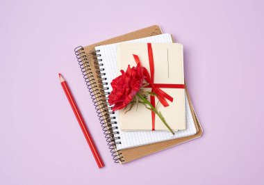 Kırmızı çiçek açan gül, bir deste eski kağıt kart ve mor arkaplandaki defterler, üst görünüm