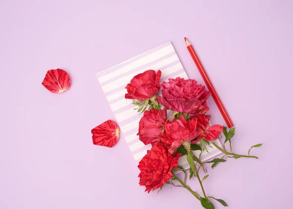 Gesloten Notebook Een Boeket Van Rode Rozen Een Paarse Achtergrond — Stockfoto