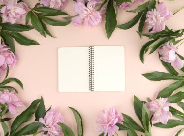 Bej arka planda boş beyaz sayfaları olan spiral bir defter aç. Çevrede pembe şakayıklar açsın.