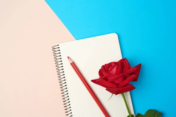 Notebook Aperto Con Fogli Bianchi Rosa Rossa Sfondo Blu Beige — Foto Stock