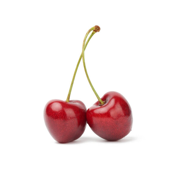 two red connected sweet cherries isolated on a white background, tasty and ripe fruit