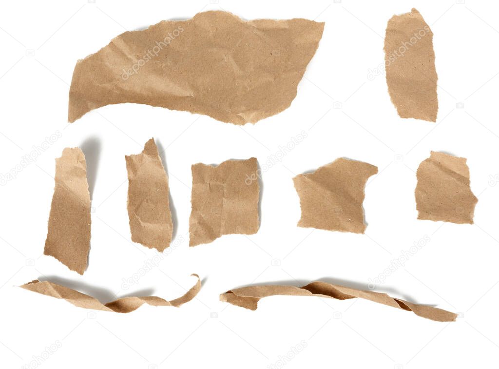 various pieces and twisted brown paper strips and torn pieces isolated on white background, top view