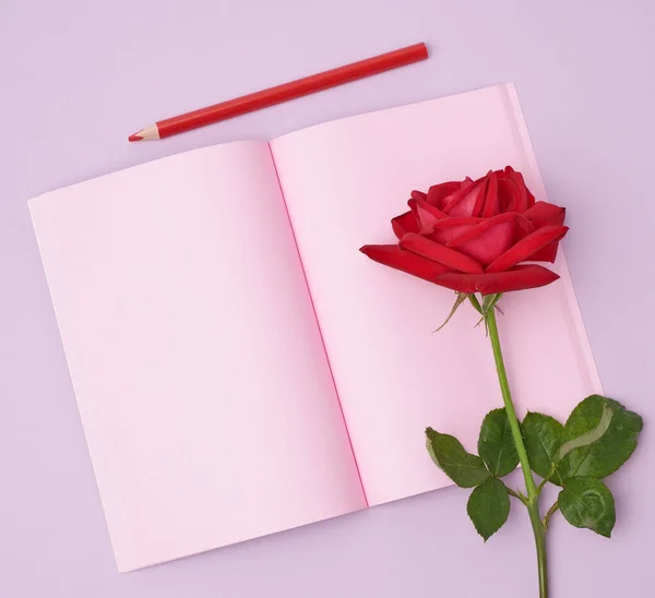 Carnet Ouvert Avec Draps Roses Rose Rouge Sur Fond Violet — Photo