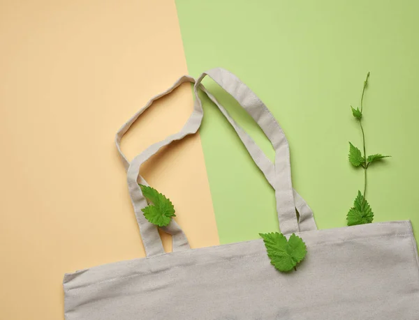 Sac Provisions Coton Réutilisable Textile Blanc Vide Sur Fond Vert — Photo