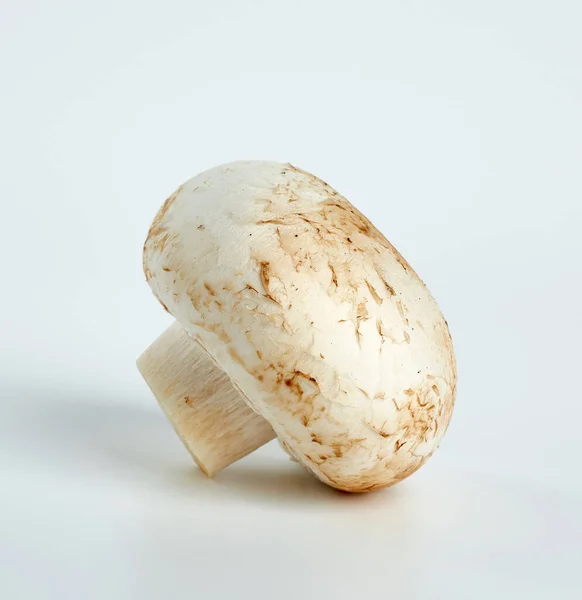 Hela Vit Färsk Champignon Svamp Isolerad Vit Bakgrund Ätlig Ingrediens — Stockfoto