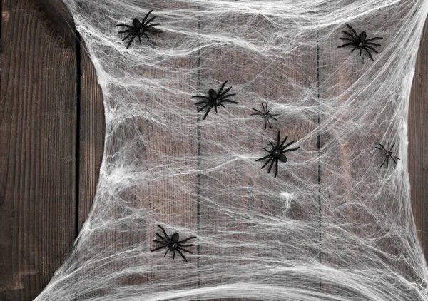 Eski Tahtaların Ahşap Zemininde Siyah Örümcekler Olan Beyaz Örümcek Ağı — Stok fotoğraf