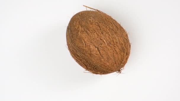Rijp Hele Ronde Kokosnoot Een Witte Achtergrond Bovenaanzicht Fruit Draait — Stockvideo