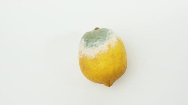 Beyaz arka planda dönen küflü sarı limon, üst manzara, bozulmuş meyve