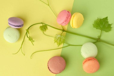 Yuvarlak renkli fırında makaronlar, tatlı sarı yeşil bir arka planda yatıyor.