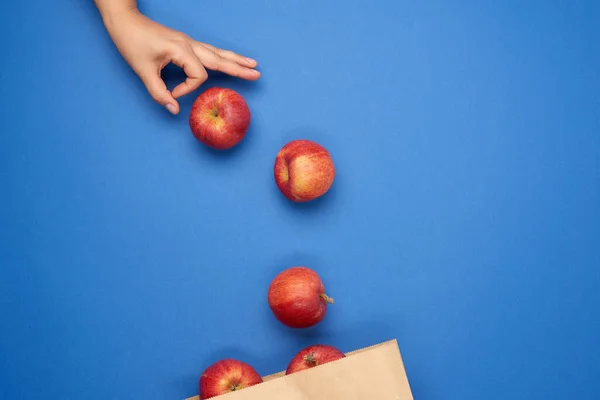 brown paper bag and ripe red apples, female hand pushing apples into packaging, blue background