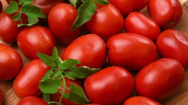 Rijpe Rode Tomaten Groene Bladeren Draaien Close — Stockvideo