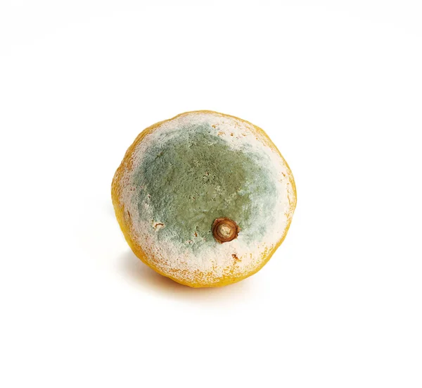 Lemon Kuning Dengan Cetakan Pada Latar Belakang Putih Buah Manja — Stok Foto