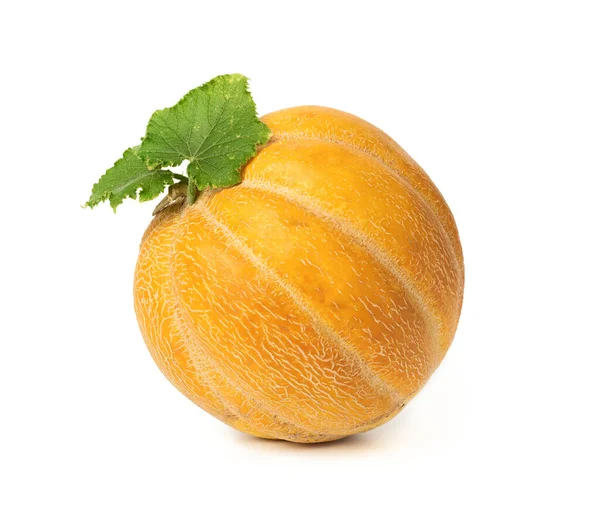 Ronde Gele Rijpe Meloen Geïsoleerd Witte Achtergrond Close — Stockfoto