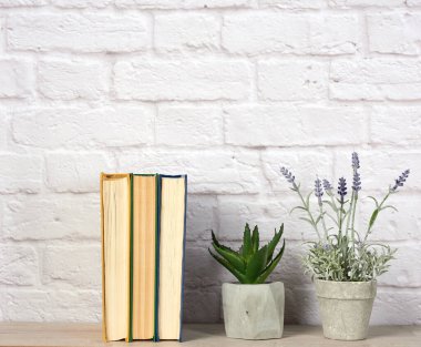 Seramik saksılarda kitap ve çiçek yığını beyaz tuğla duvar zemininde, raf