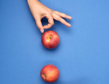 Olgun kırmızı elmalar, kadın eli elmaları itiyor, mavi arka plan