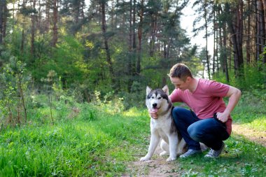 pembe bir T-shirt ve kot onun köpek malamute ormanda bir yürüyüş ile çekici bir genç adam