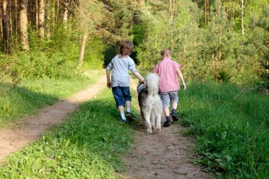 ormanda bir yürüyüşe onların köpek malamute ile çalışan çocuklar. En iyi dostlar. Dostluk. 