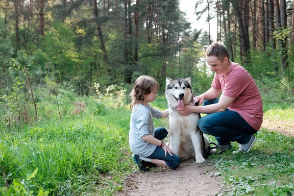 Baba ve oğul onların köpek malamute ormanda bir yürüyüş ile