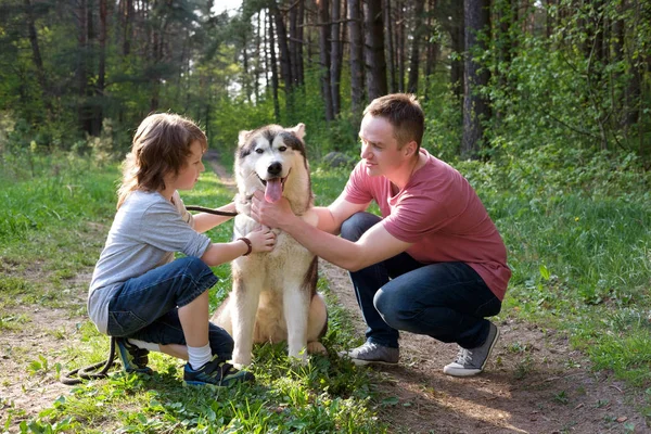 Baba ve oğul onların köpek malamute ormanda bir yürüyüş ile. Aile. Seviyorum. Saadettir.