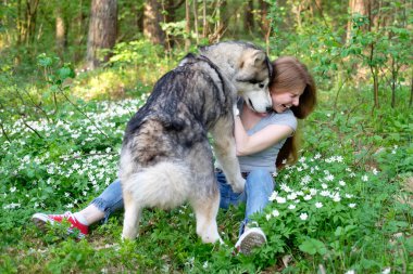 Kızıl saçlı Genç kadın onun köpek malamute ormanda bir yürüyüş ile çalış