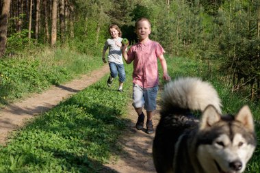 İki kardeş ormandaki bir yolda onların köpek malamute topla oynamak