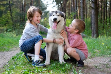 Erkek kardeşler onların köpek ormanda bir yürüyüşe alay dilini göster. Tüm iyi eğlenceler köpekle oynamayı.