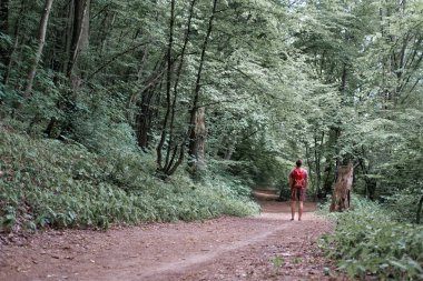 turuncu beyaz adam yola arkadan görünümü bir yaz ormanda yürüyüş sırt çantası