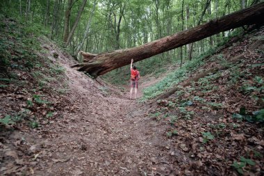 turuncu beyaz adam yola arkadan görünümü bir yaz ormanda yürüyüş sırt çantası