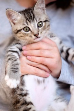 Çocuk holding tatlı çizgili kedicik.