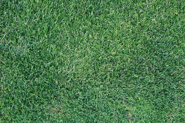 Fußballfeld Rasen Hintergrund — Stockfoto