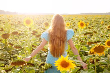 Ayçiçeği alanında genç kadın eğlence var