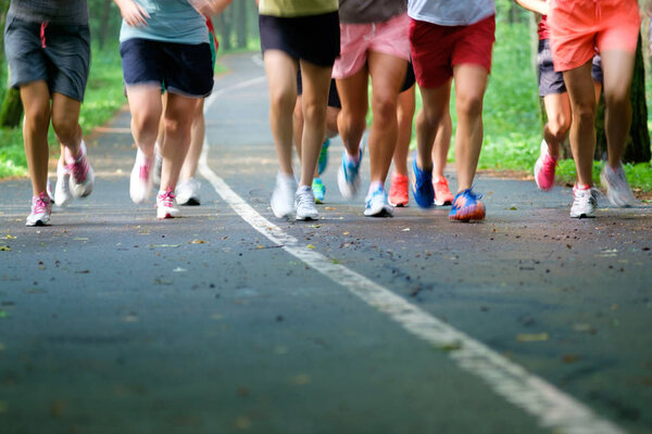 Closeup feet group athletes running marathon in woods. Summer time. Health concept. Fitness concept.