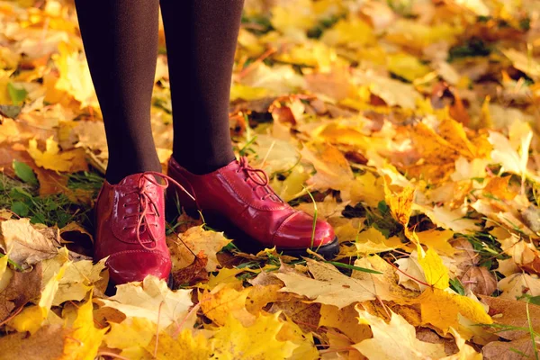 Voeten Van Vrouw Rode Herfst Schoenen Van Lakleer Permanent Onder — Stockfoto