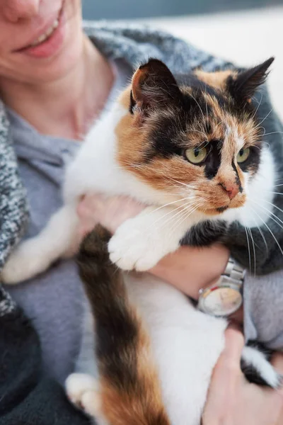 Bir kedi tutan Kızıl saçlı kadın ekose battaniyeye sarılmış, iskeleye yakın göl ayakta. Sonbahar bulutlu pis gitmedenen
