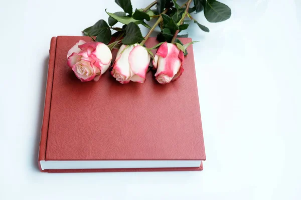 Red leather covered wedding album or wedding book and Three beautiful roses lies on red leather covered wedding album or wedding book. Wedding book lie on white background. Top view.