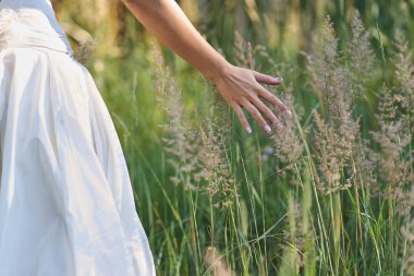 Bir tarla gelini yürüme eli, açık havada yabani çiçekler dokunmadan