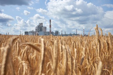 Çevre konsepti için kirlilik ve zarar.