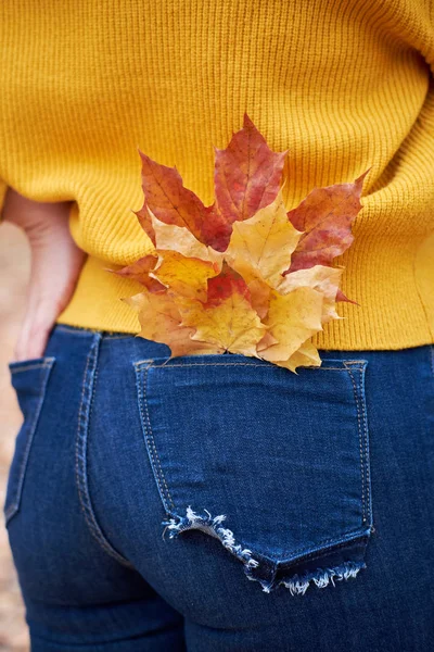 Herfst. Boeket van gele en rode esdoorn bladeren in een meisje s poc — Stockfoto