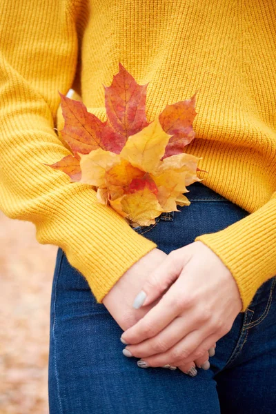 秋。女の子のポケットに黄色と赤のカエデの葉の花束. — ストック写真
