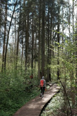 Aile seyahati. Turuncu çantalı ve çocuklu genç bir gezgin kızın doğa koruma alanında tahta bir köprüde yürüyüşü var..