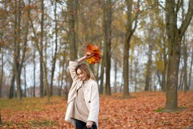 Şık gençlik sonbahar koleksiyonu. Süveter giyen neşeli güzel bir kız, siyah kot pantolon, sonbahar akçaağaç yaprakları buketi tutan modaya uygun bir sonbahar ceketi. Arka planda sonbahar parkı.                                