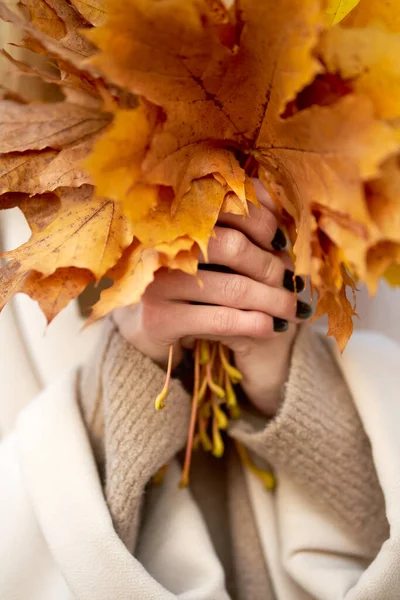 Herfst Tijd Meisje Met Boeket Van Esdoorn Bladeren Handen Dragen — Stockfoto