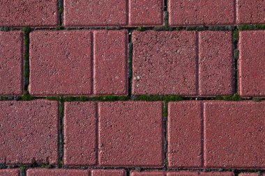 Kaldırım döşeme farklı boyutlarda yeşil yosun ile kırmızı