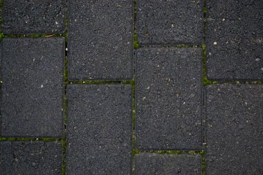 Yeşil yosun ile gri kaldırım