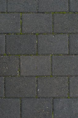 Yeşil yosun ile gri kaldırım