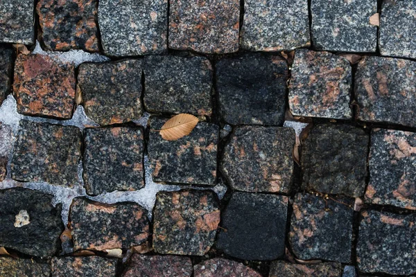 Alte Pflasterplatten Auf Denen Schnee Und Herbstlaub Liegen — Stockfoto