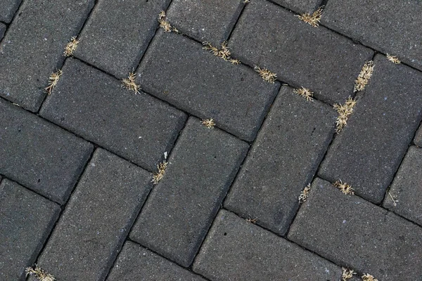 Die Beschaffenheit Von Pflasterplatten — Stockfoto